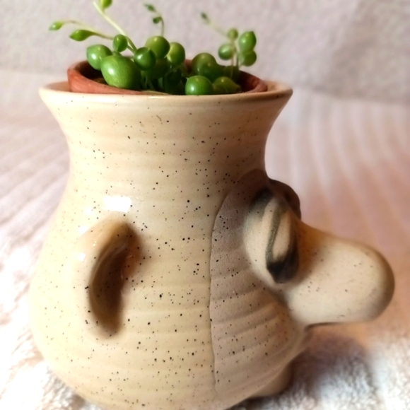 *Egg separator / Tiny Planter - Picture 2 of 9